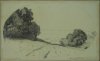 1913 - Il roccolo di villa Cavalletti